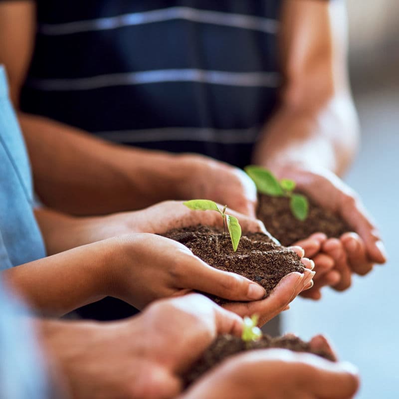Environmental, social and governance